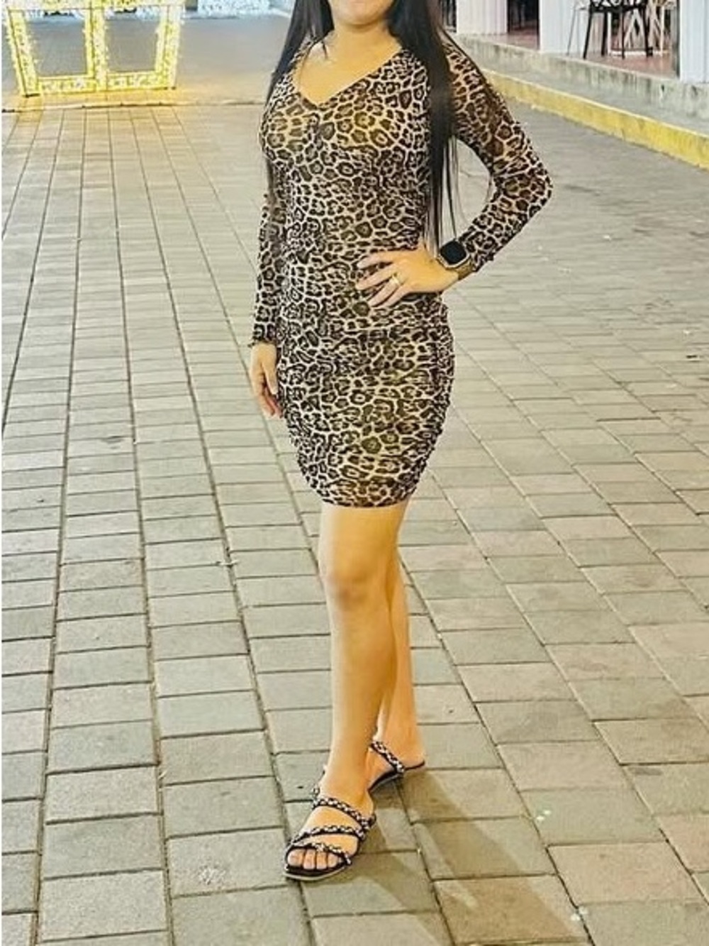 Leopard Print Long-Sleeve Bodycon Dress - Women